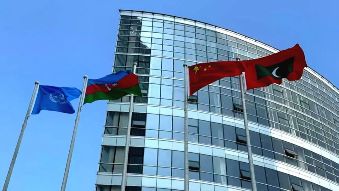 我与“上合”的故事:外国语学院朱姗