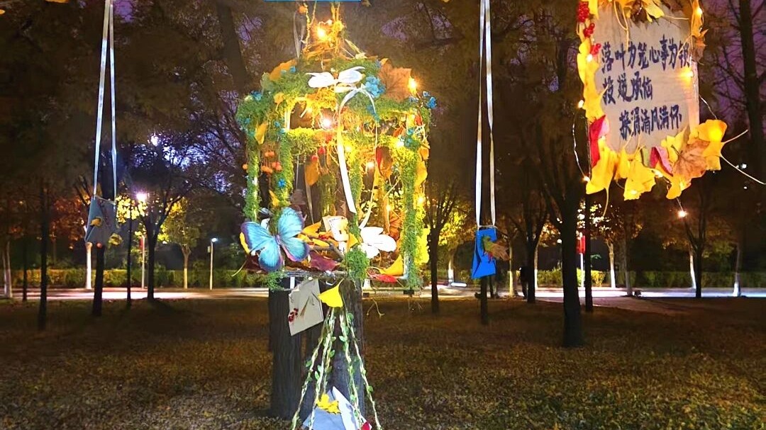 落叶为“信”，大地为“纸”：这堂劳动实践课，在校园里办了一场“大地艺术节”